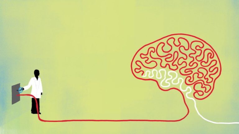 Are Carbs Toxic, Is The CICO Concept Valid, Can Exercise Facilitate Fat Loss? An N=1 Experiment