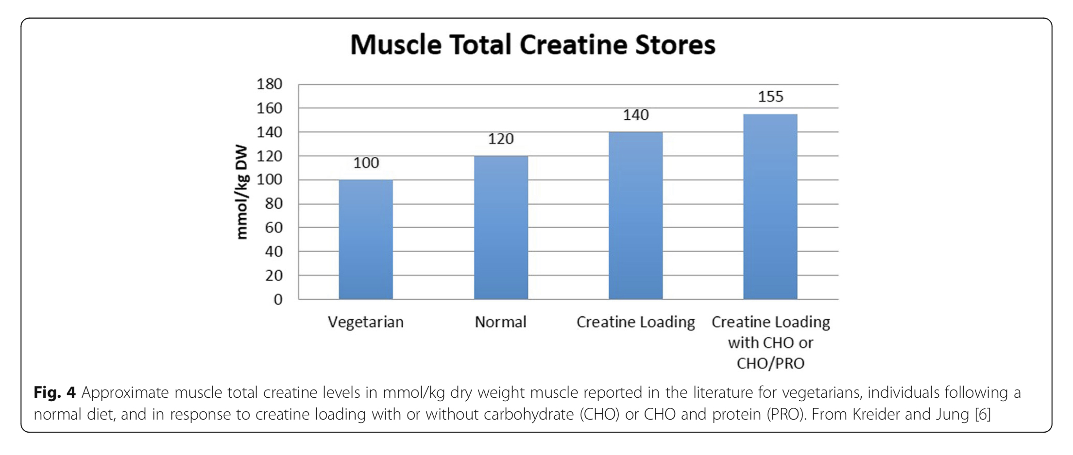 To show the differences in creatine uptake in muscle following supplementation in vegetarian, normal, creatine loading and creatine loading with cho or cho/pro